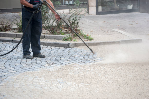 Best Gutter Cleaning  in Schererville, IN